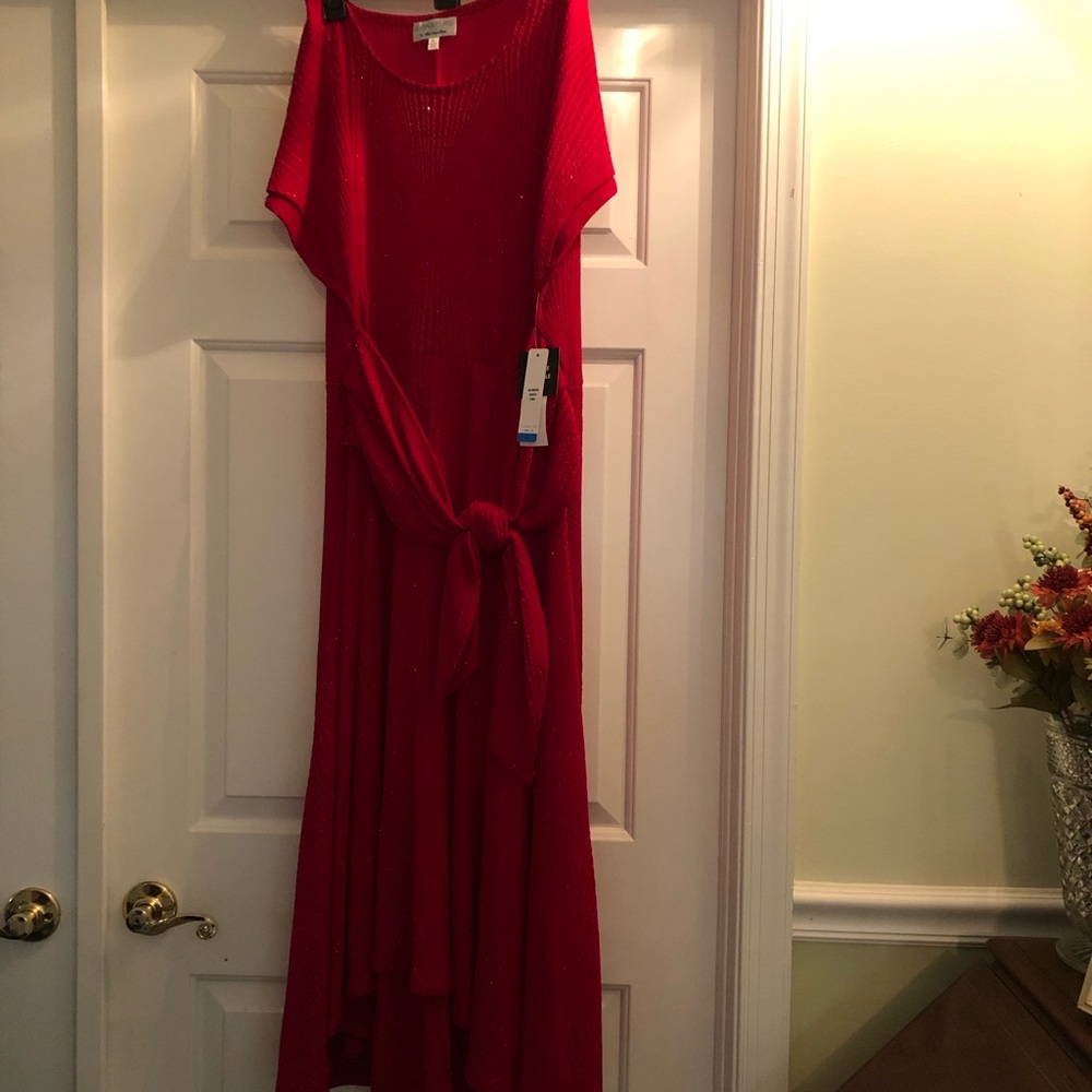 Signature by Robbie Bee Vibrant Red High Low Dress